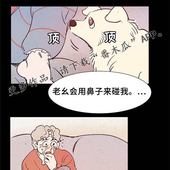 第37章：灵魂召唤20