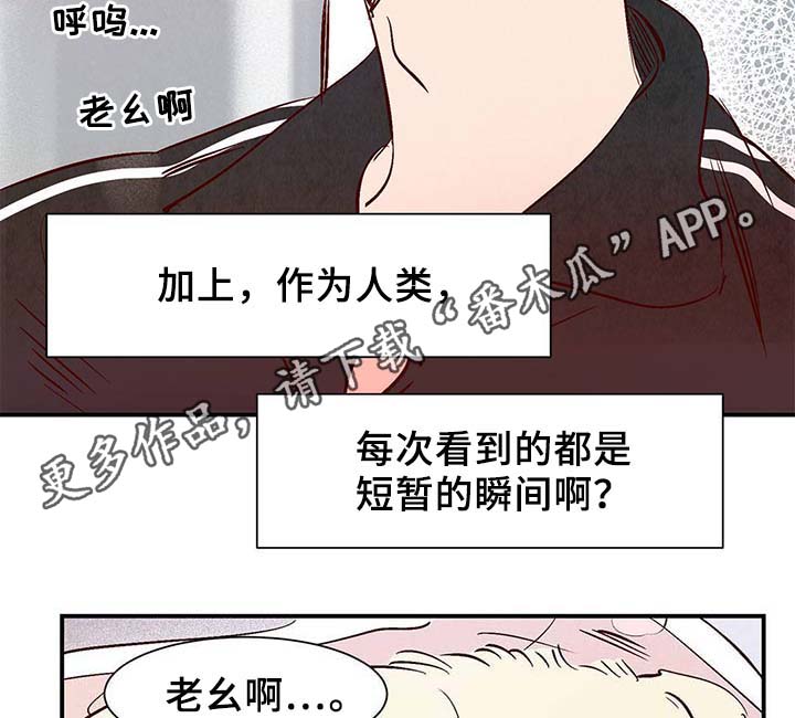 第36章：面对死亡31
