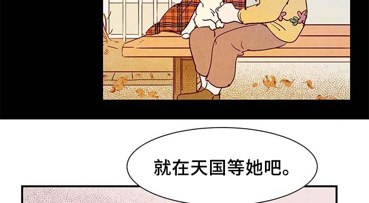 第40章：老幺的故事22
