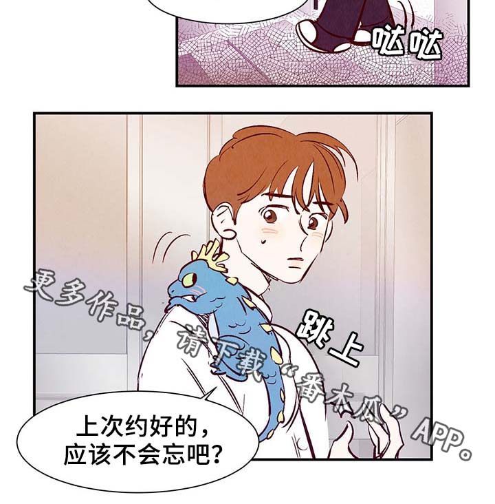 第30章：电梯17