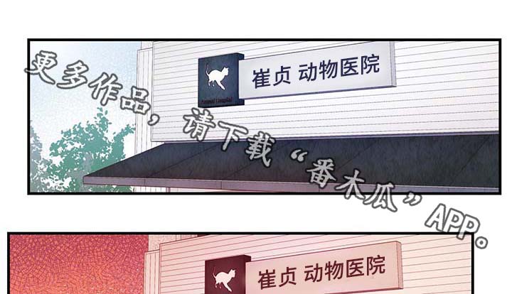 第30章：电梯5