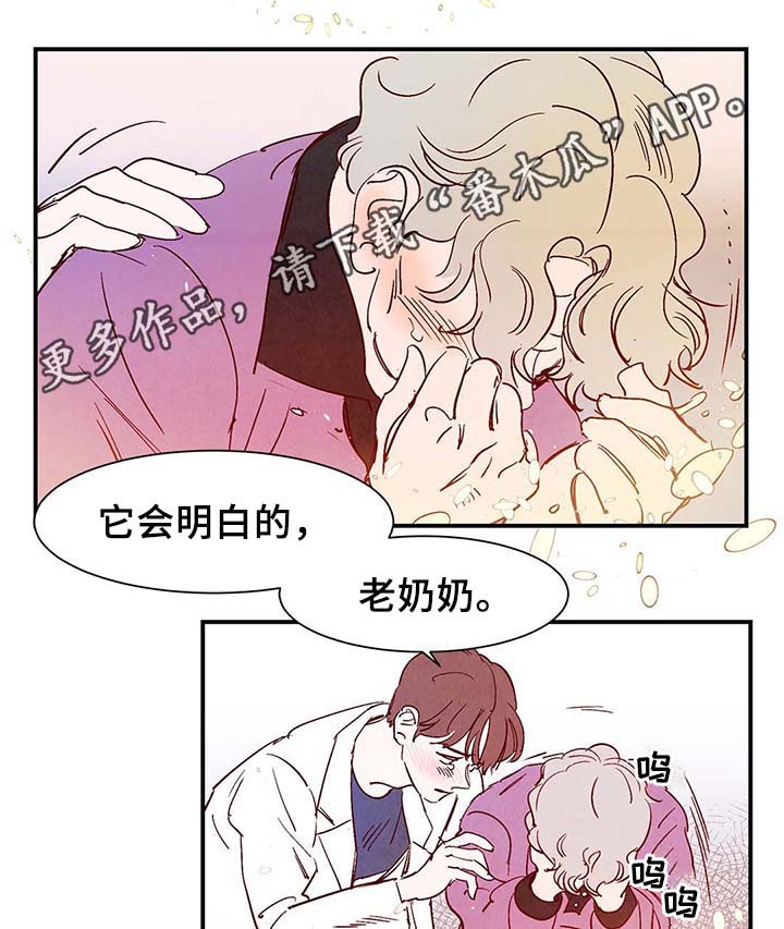 第39章：上路6