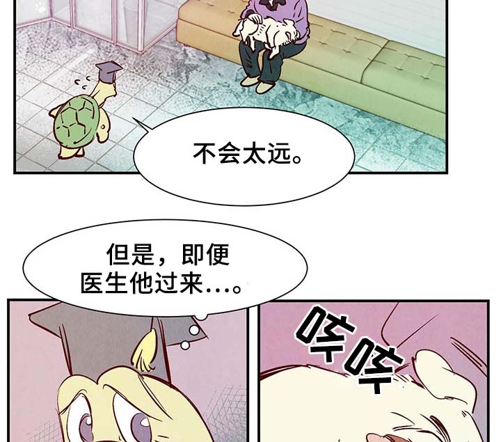 第35章：老幺8