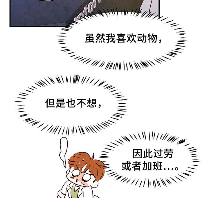 第29章：不想加班19