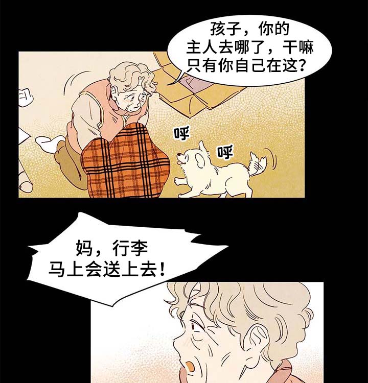 第40章：老幺的故事11