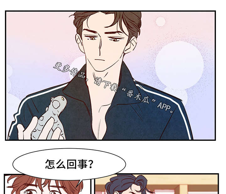 第27章：喜欢上了吗？0