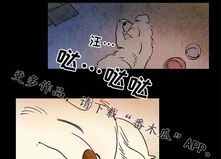 第40章：老幺的故事8