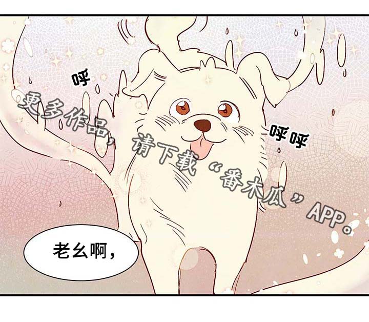 第39章：上路0