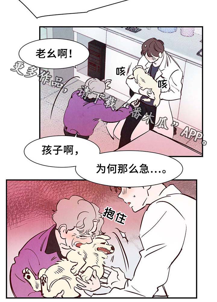 第37章：灵魂召唤4