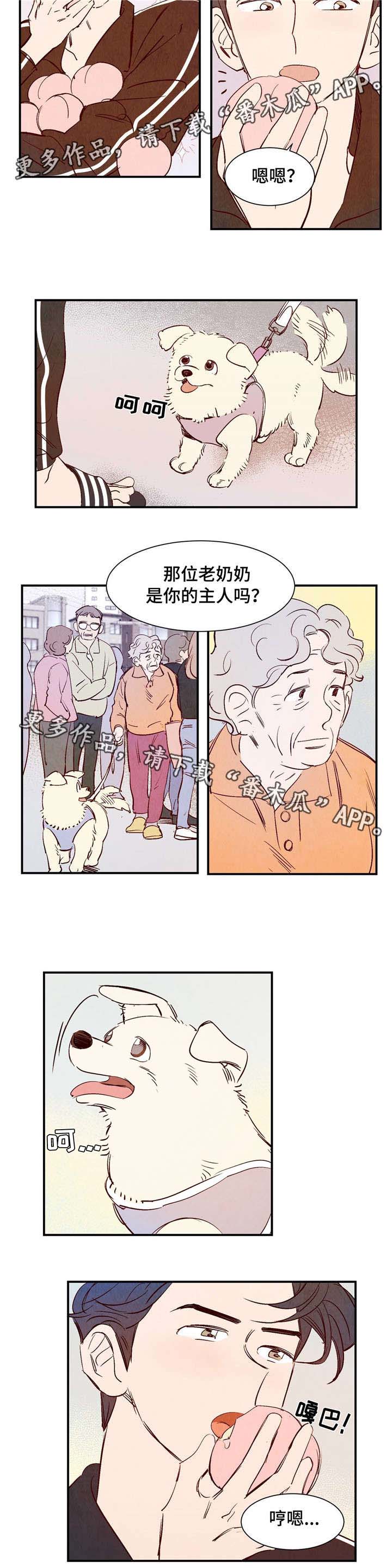 第8章：有话要说3