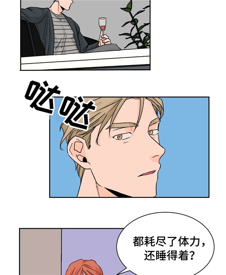 第20章：重要的客人12