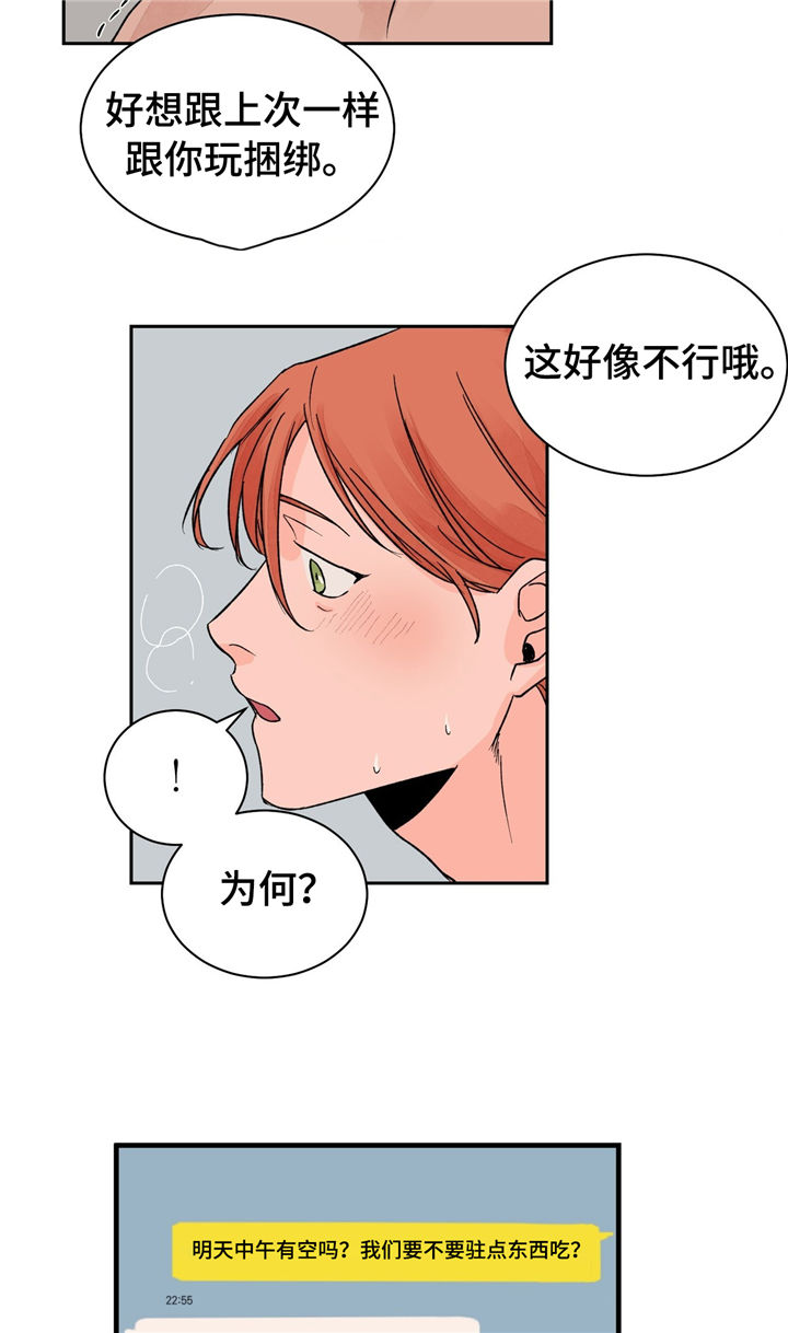 第20章：重要的客人21