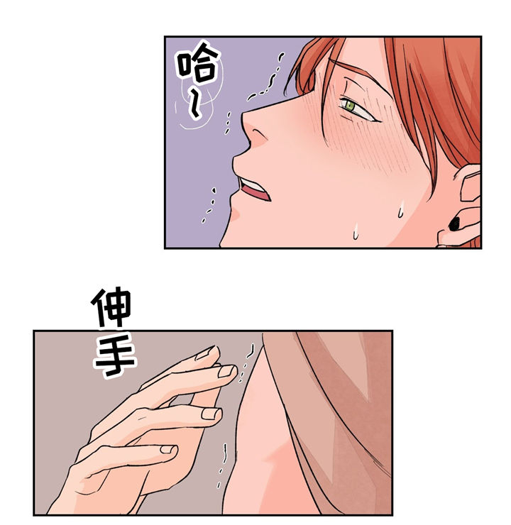 第20章：重要的客人19