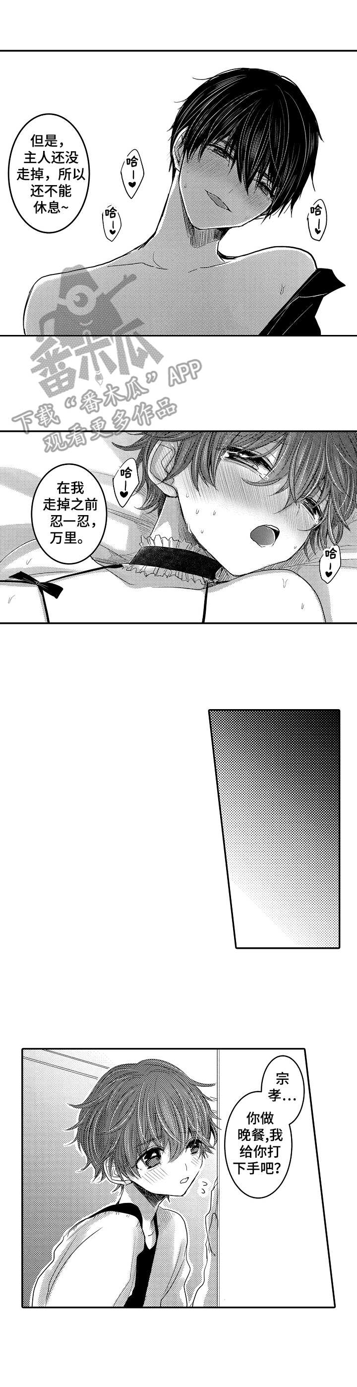 第20章：真不错10