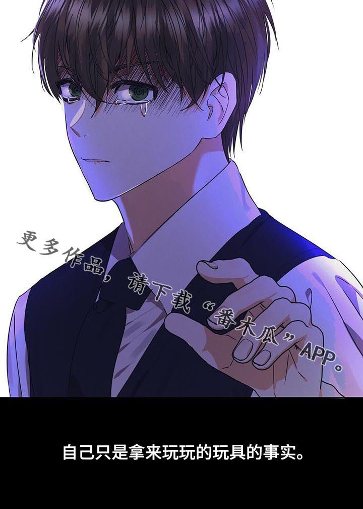 第38章：玩具11