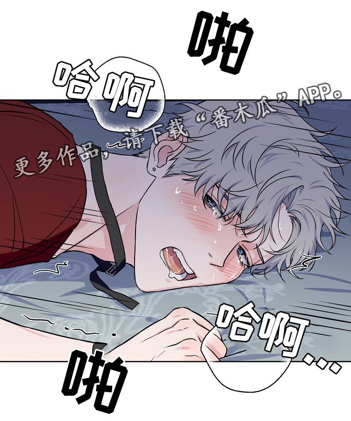 第41章：我可以17