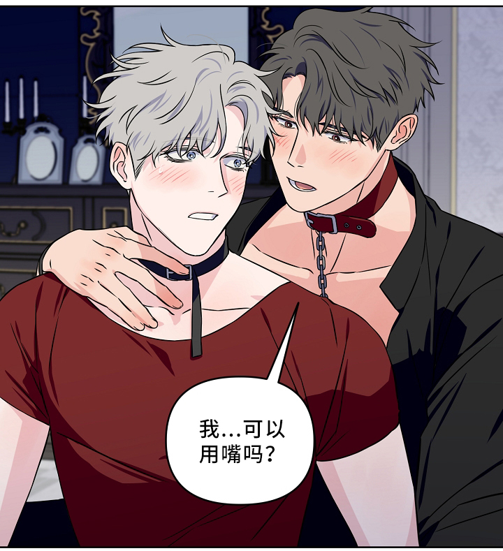 第40章：配合19