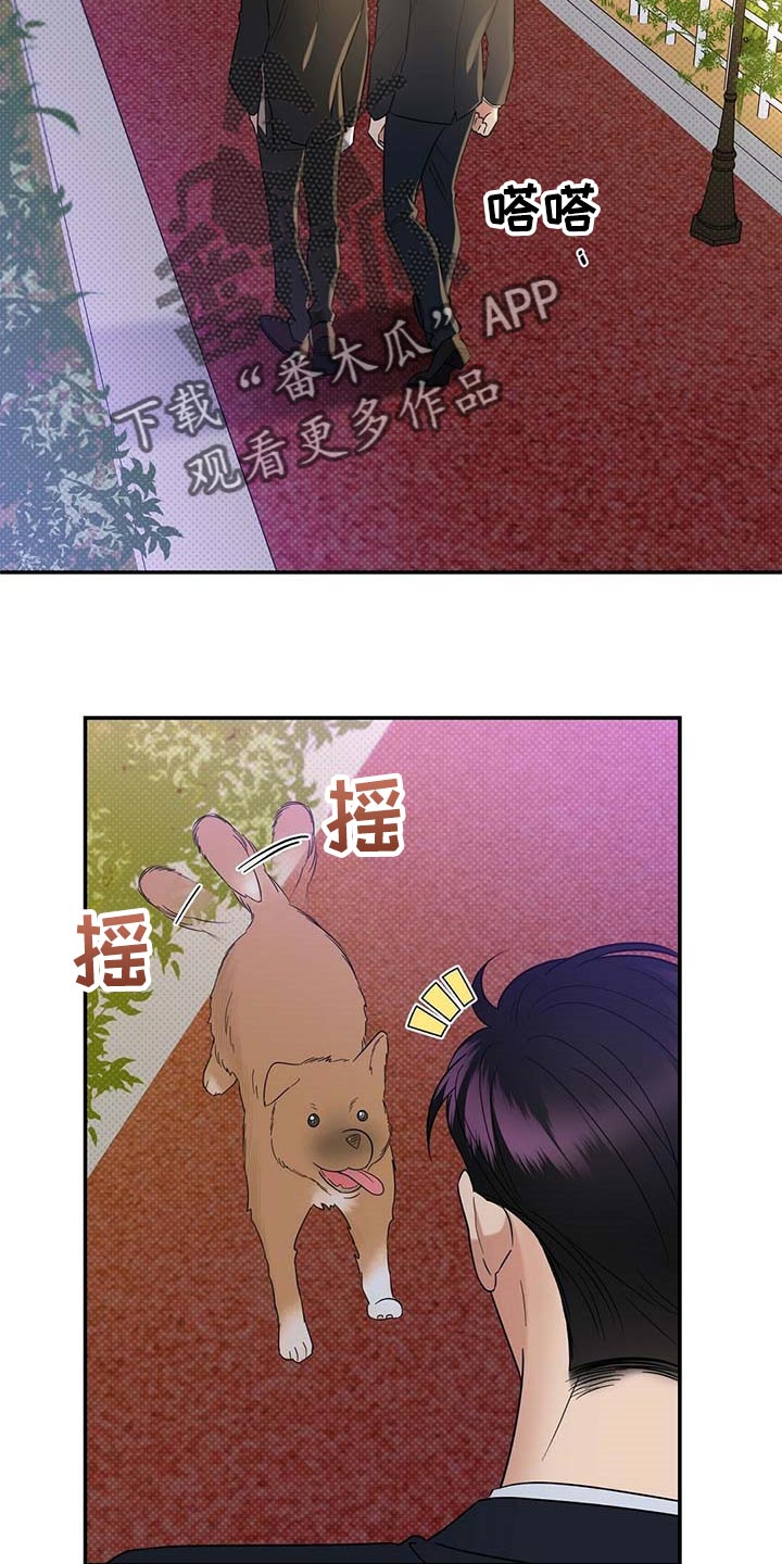 第73章：仔细点养16