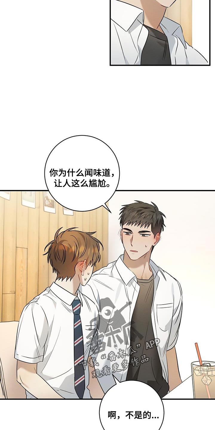 第28章：香味20