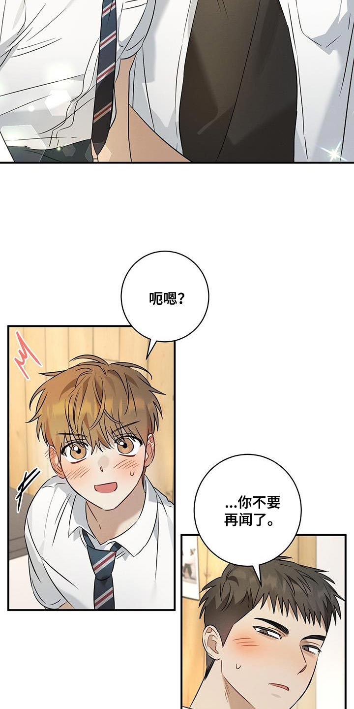 第28章：香味19