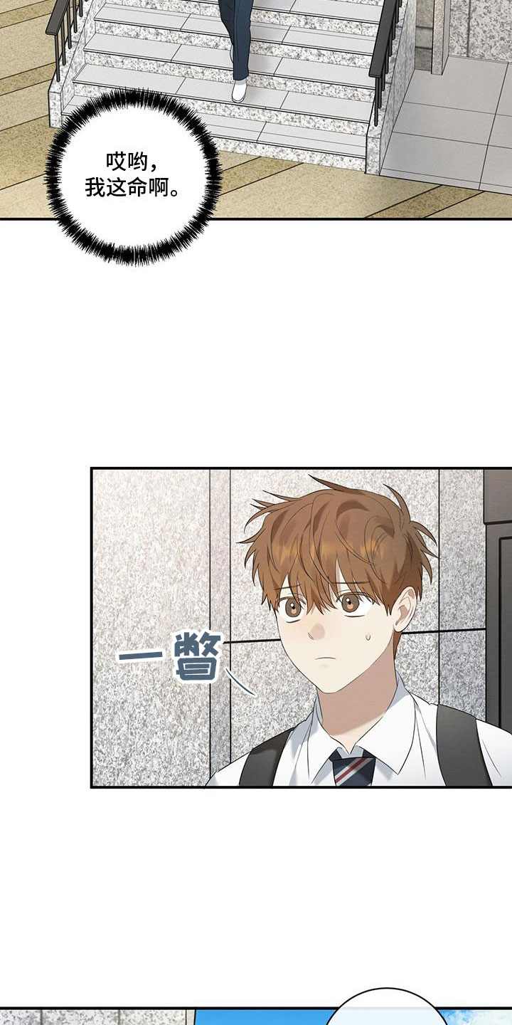 第11章：针锋相对23