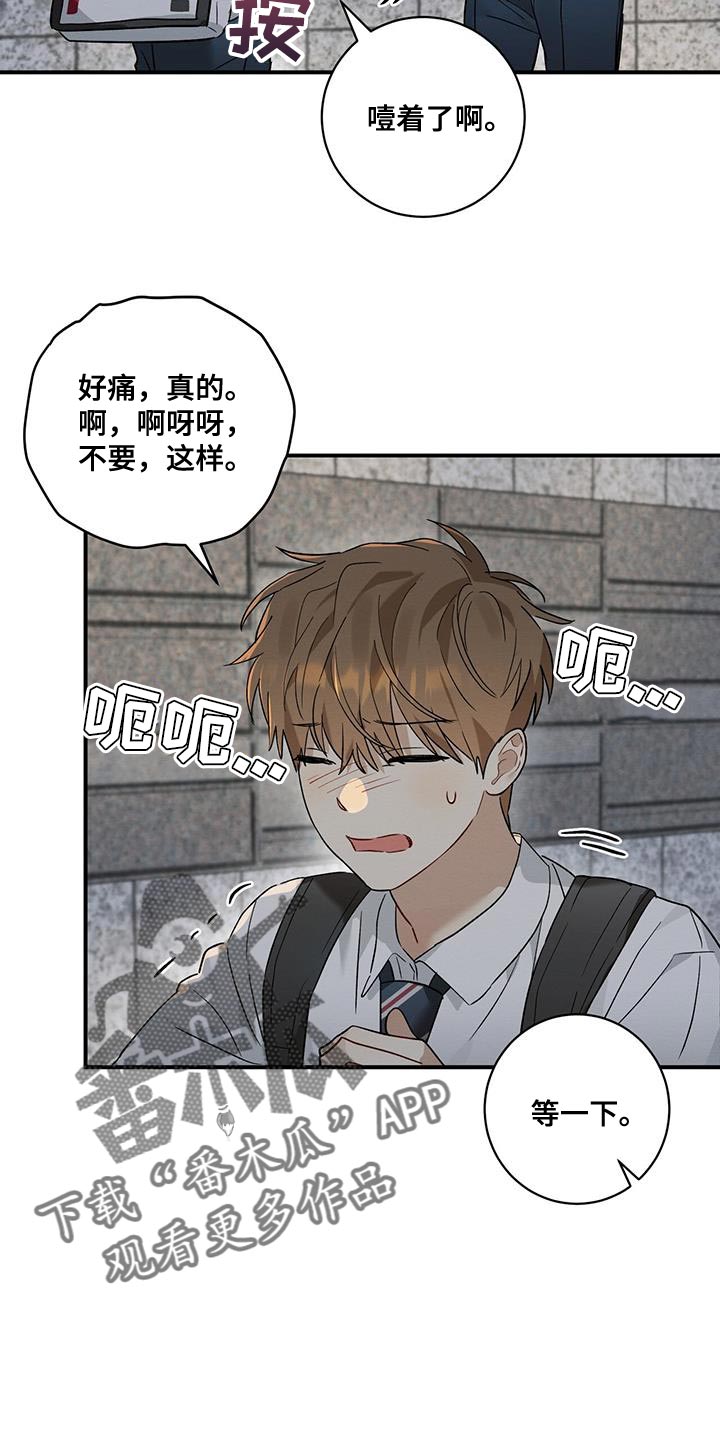 第19章：傻瓜15