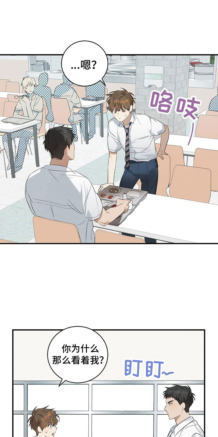 第5章：噎人的午饭20