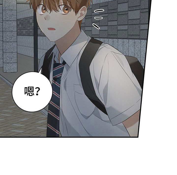 第11章：针锋相对11
