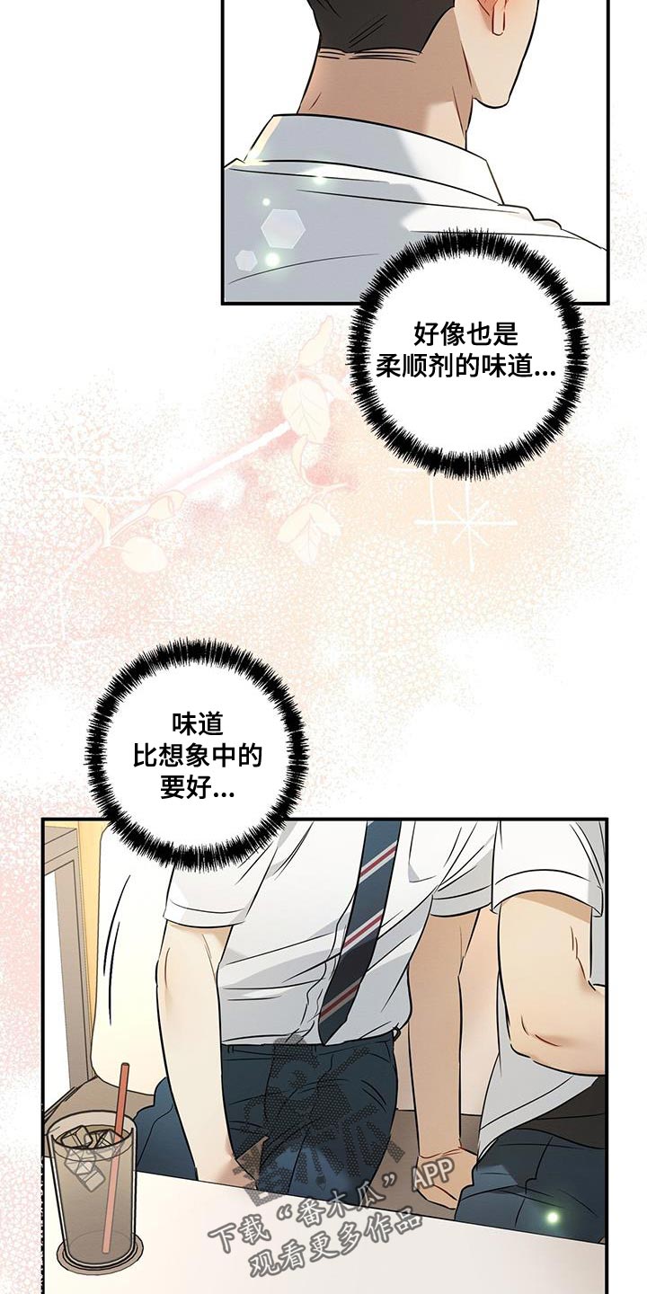 第28章：香味17