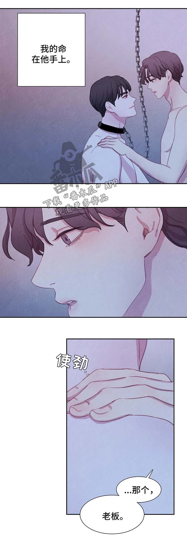 第41章：不再奢望7