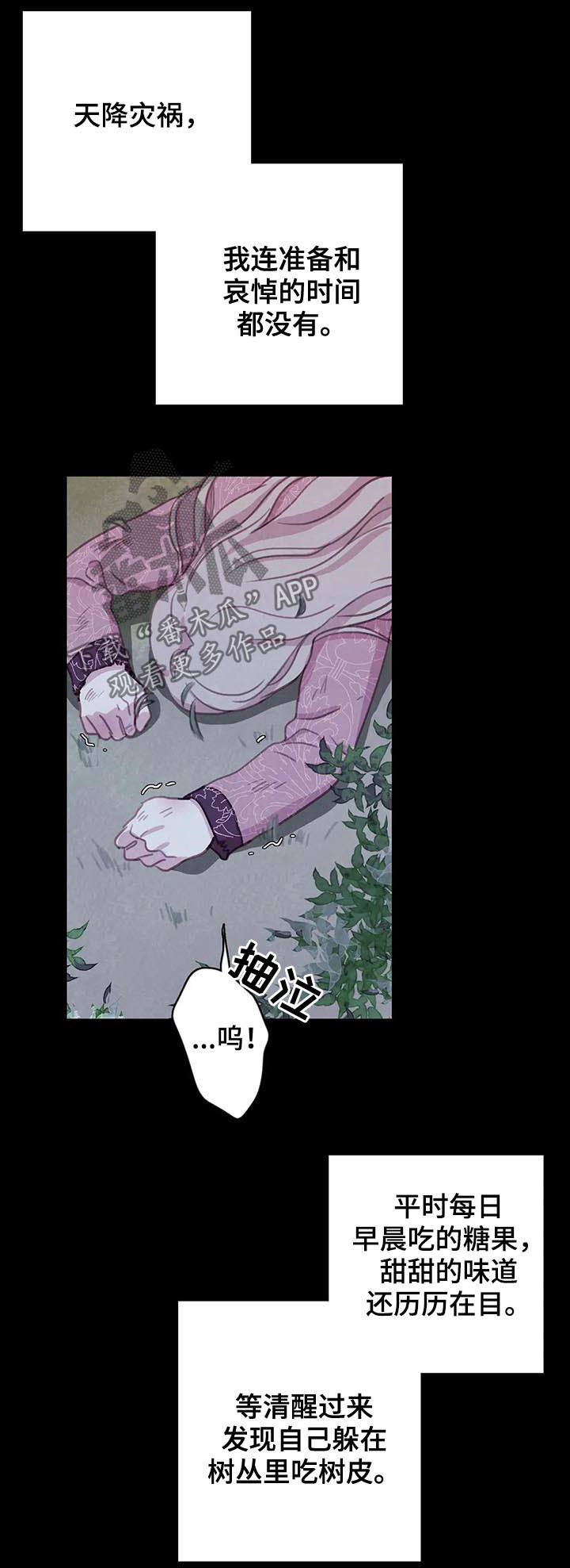 第81章：【第二季】往事11