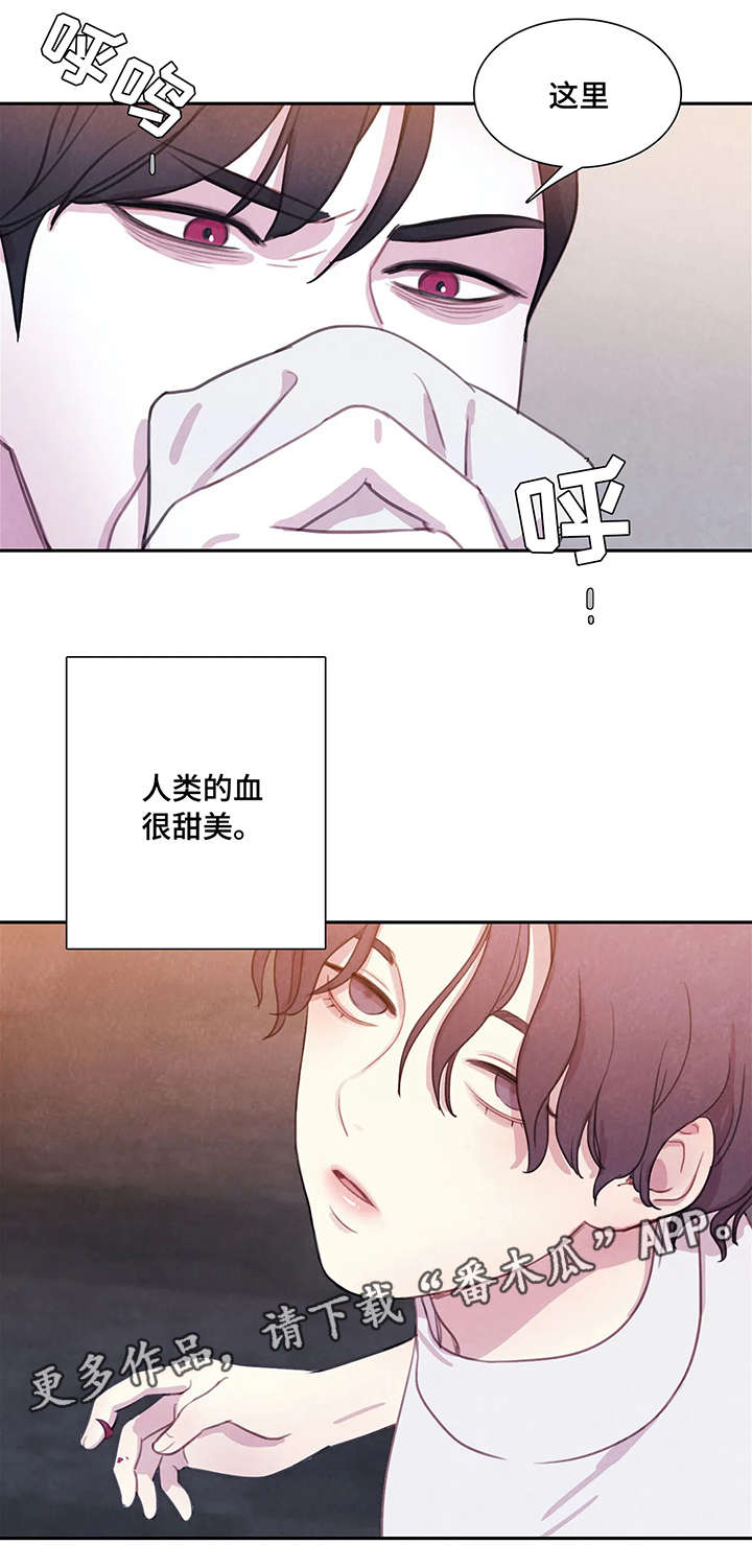 第4章：兴奋1