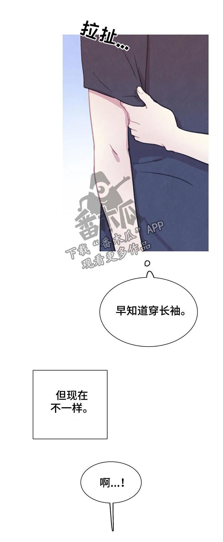 第116章：【番外】怀孕5