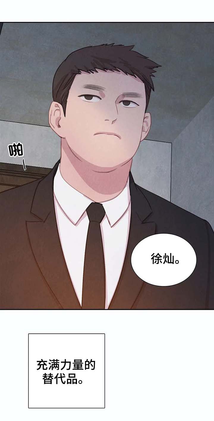 第43章：替代品9