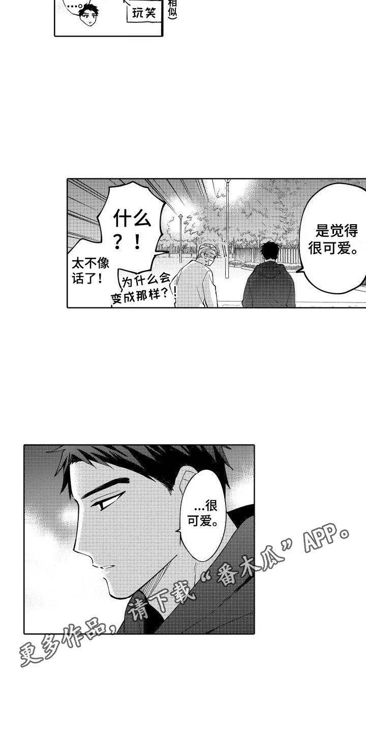 第6章：表达12