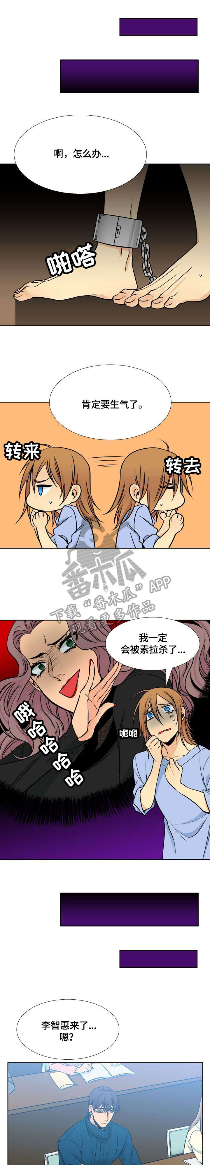第31章：询问0