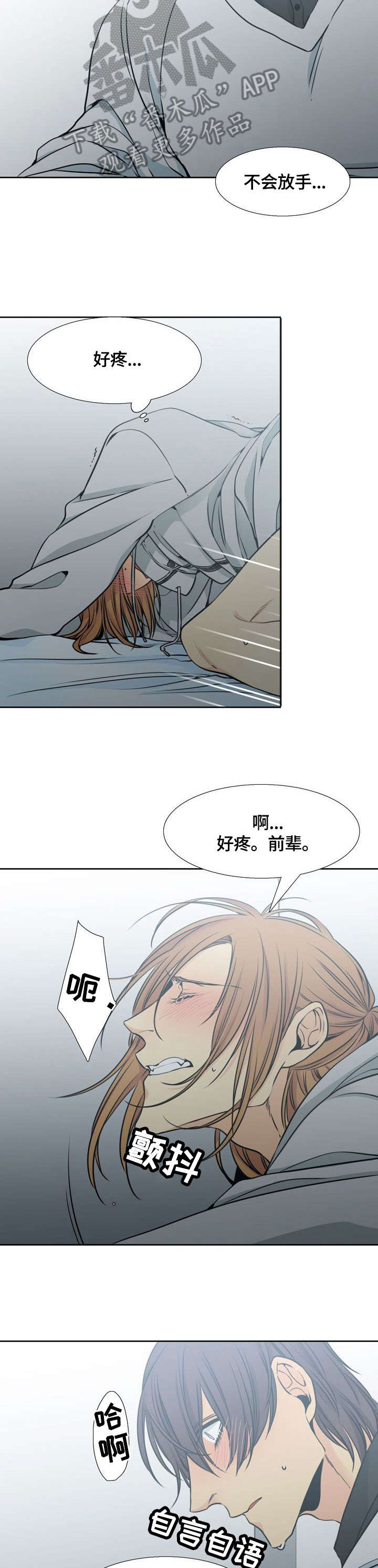 第28章：茶杯8