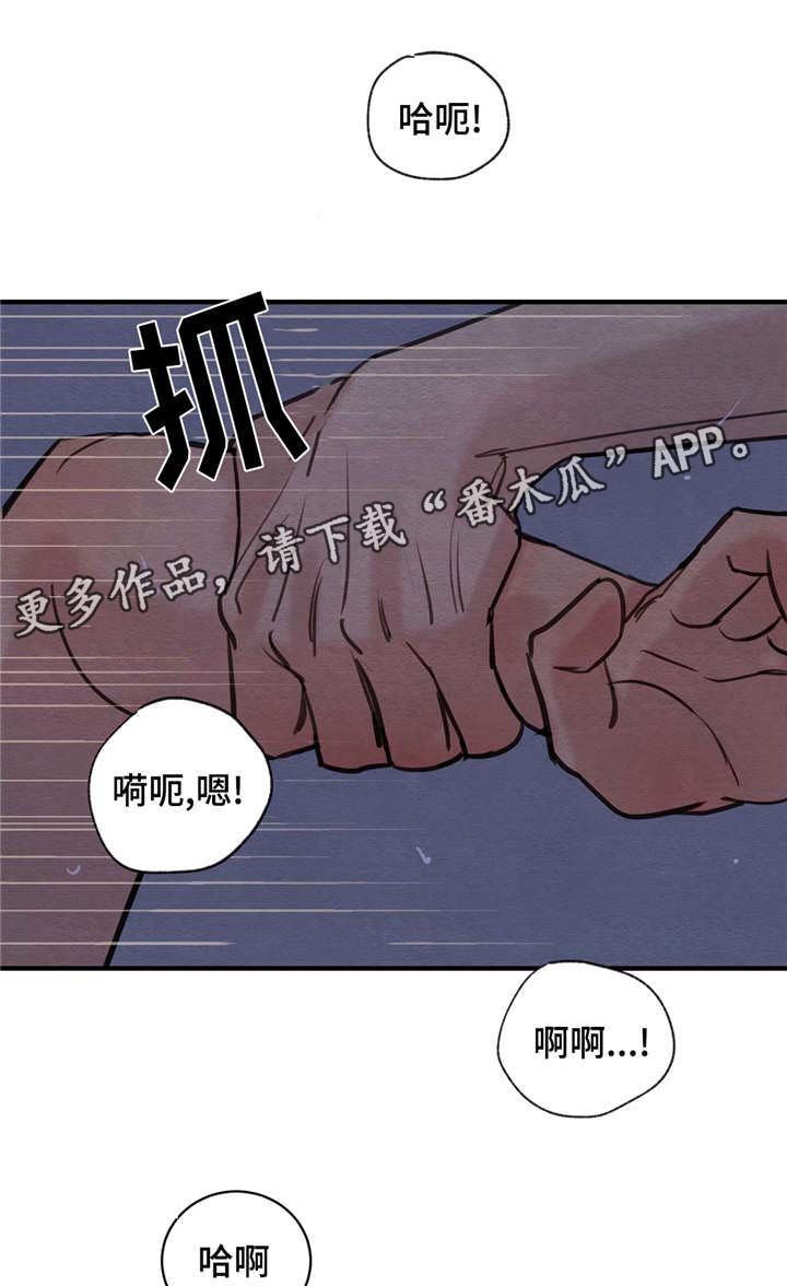 第37章：我喜欢你0