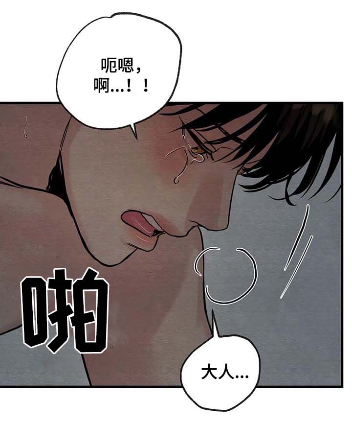 第86章：【第二季】最适合我8