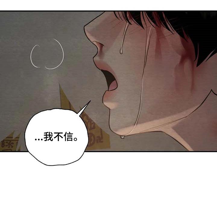 第203章：【第三季】我不信19