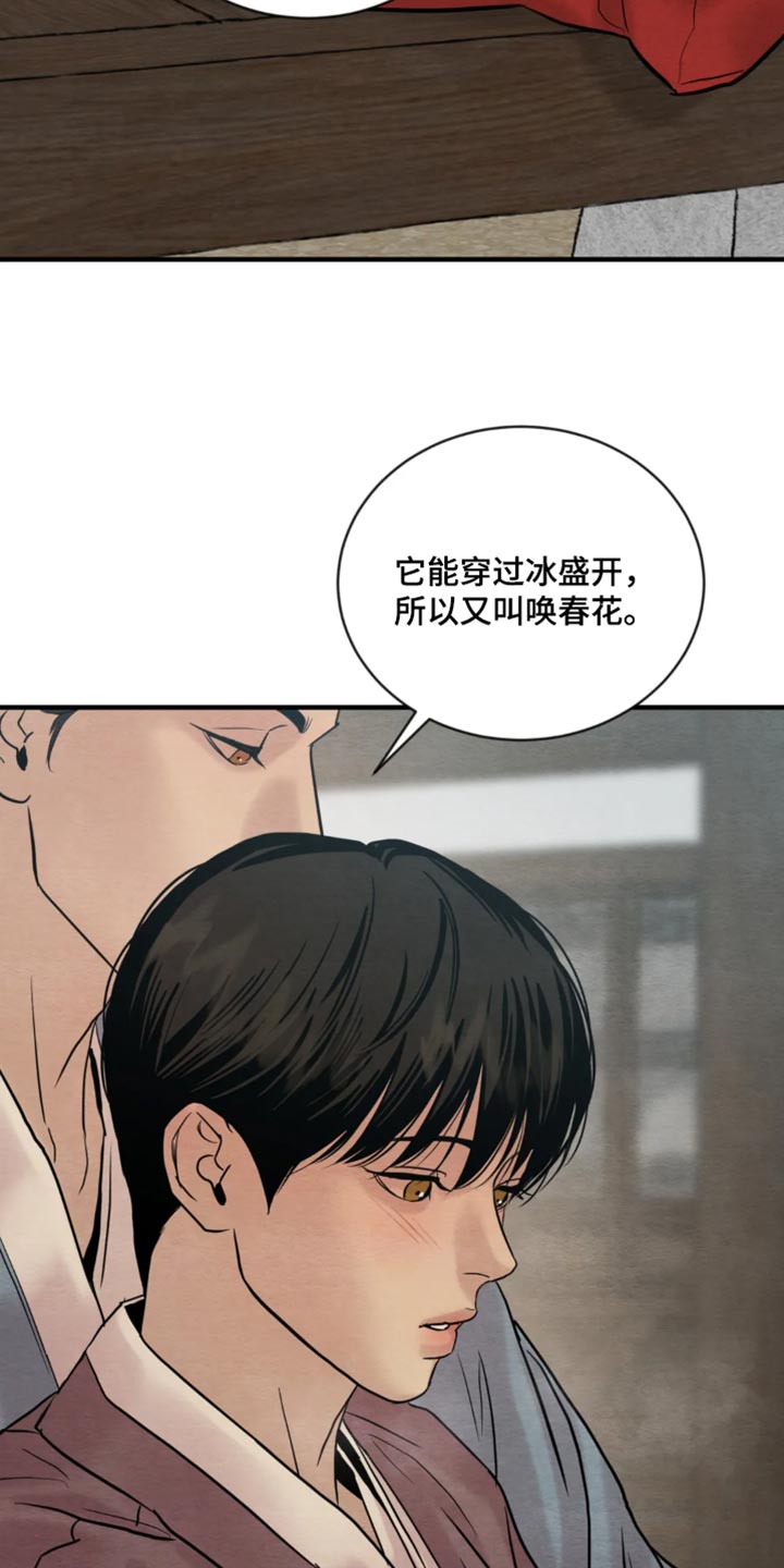 第212章：【第四季】福寿草24