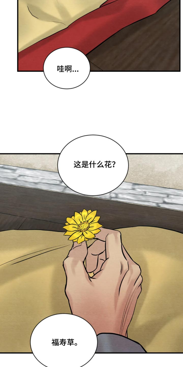 第212章：【第四季】福寿草22