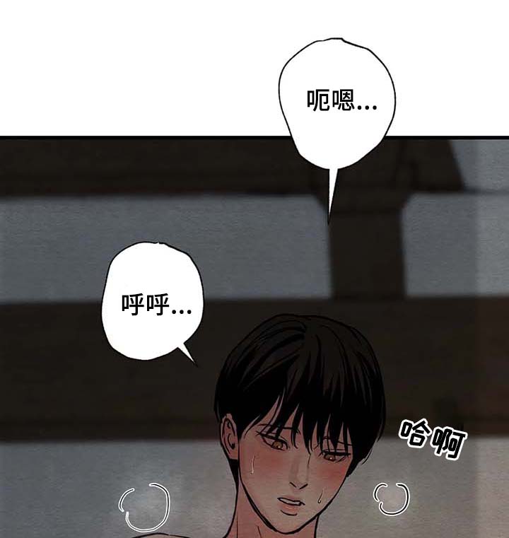 第84章：【第二季】答案1
