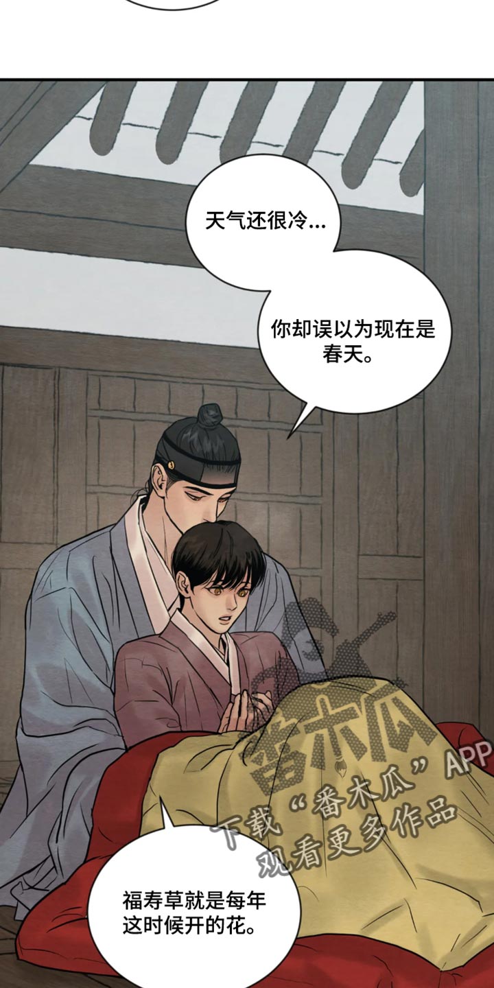 第212章：【第四季】福寿草23