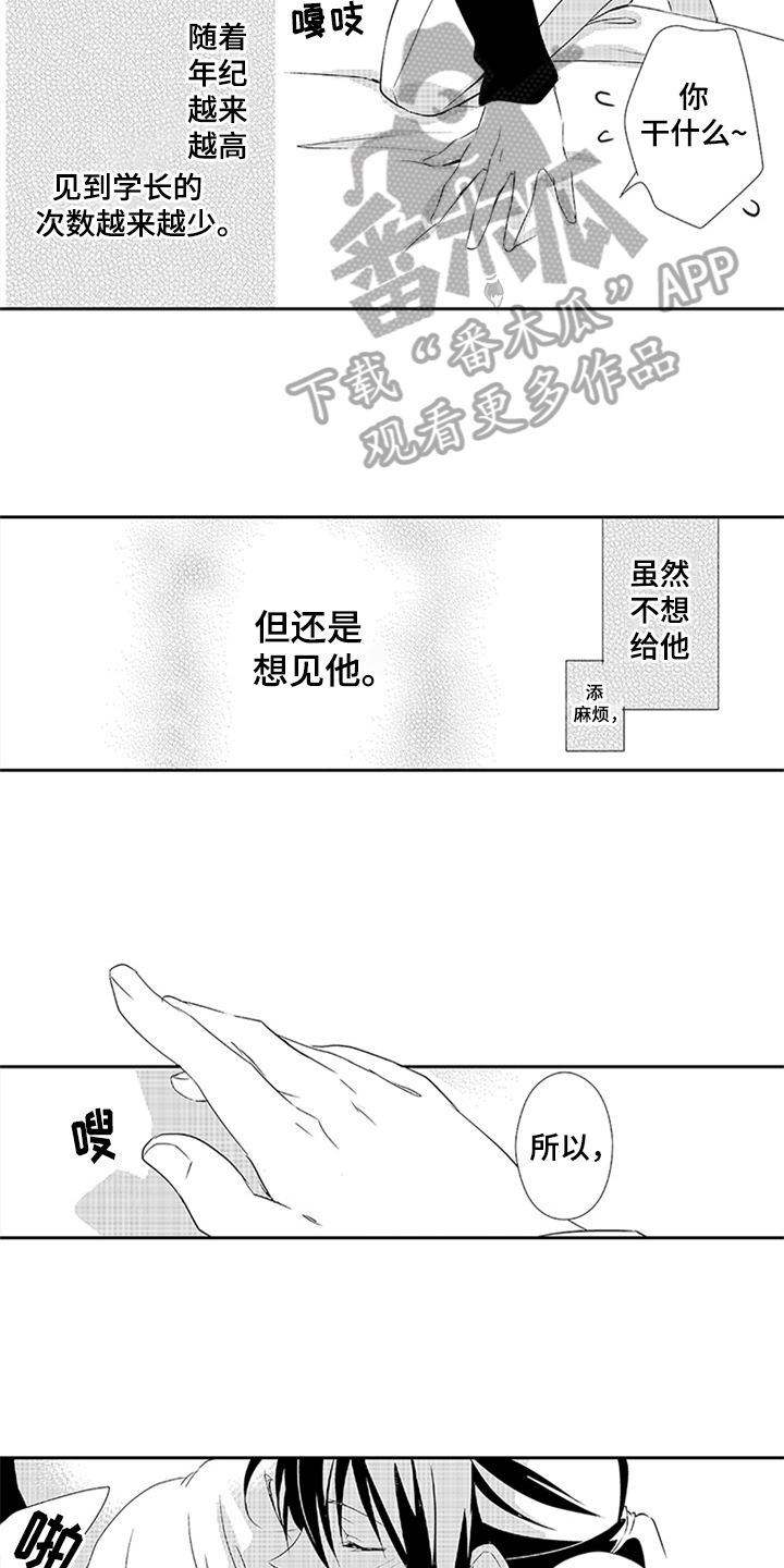 第19章：身份6