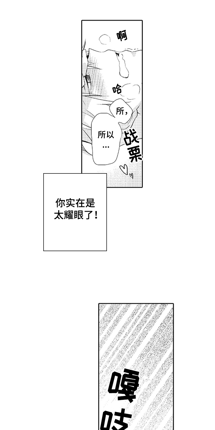 第13章：耀眼8