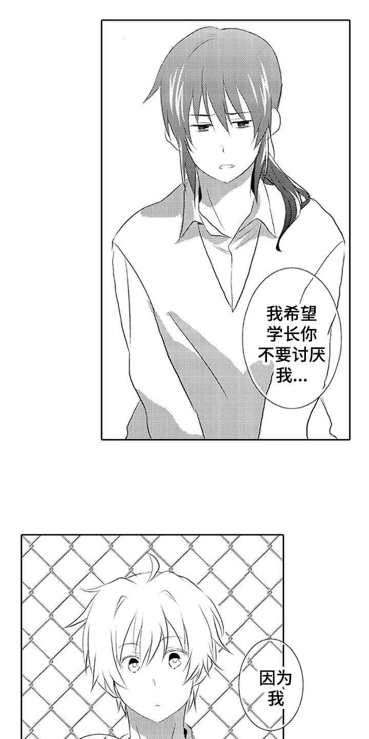 第2章：表白11