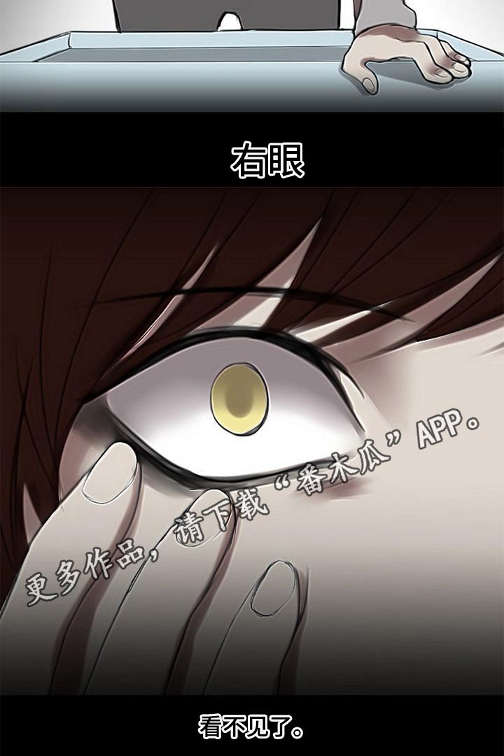 第51章：看不清15
