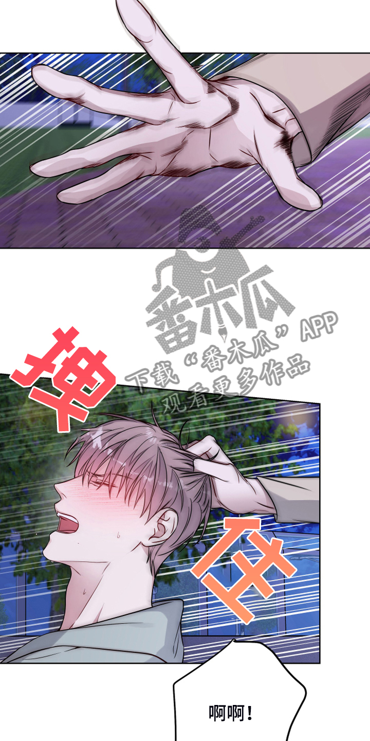 第52章：你只是乞丐17