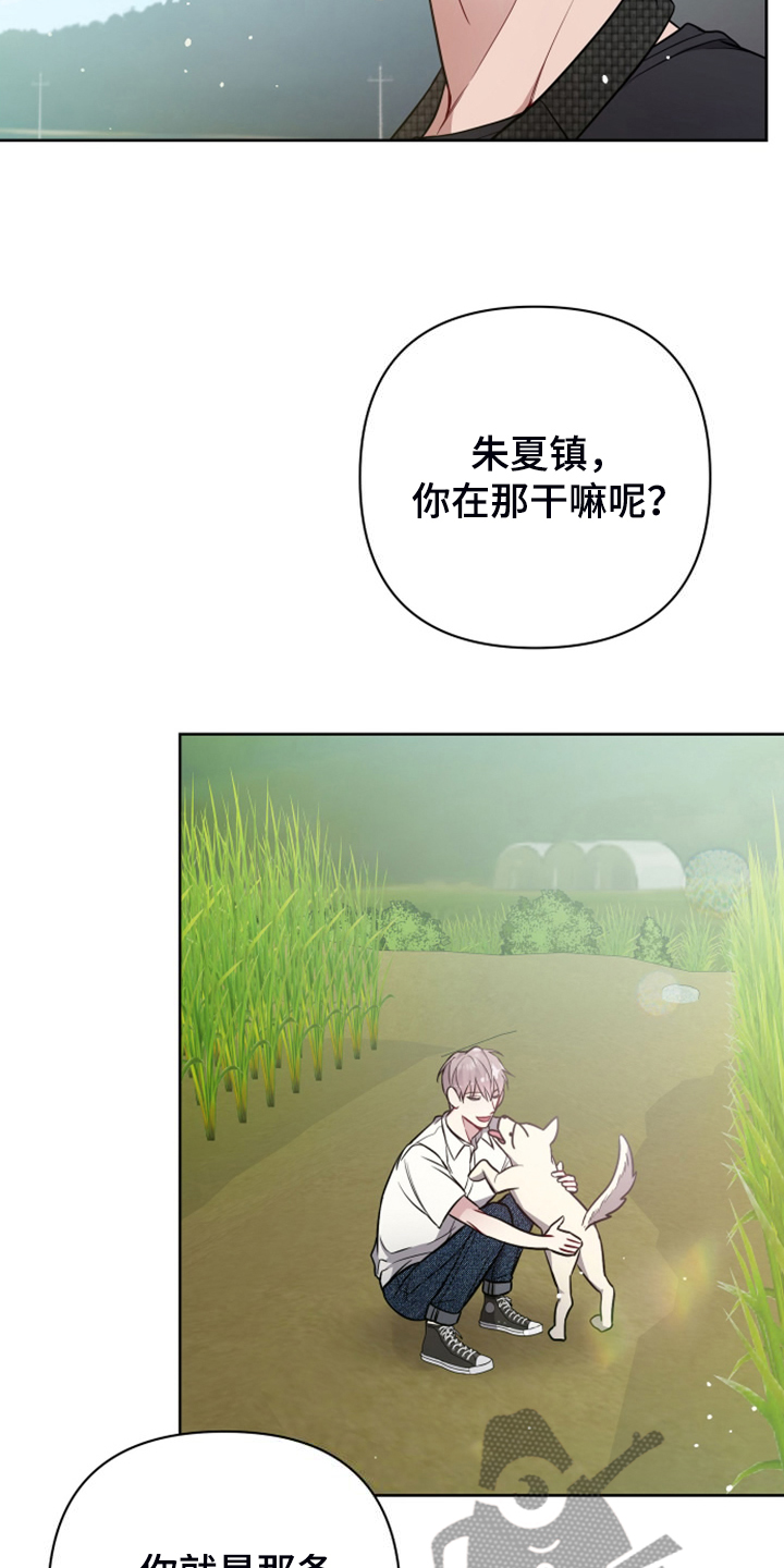 第59章：凶悍的小狗10